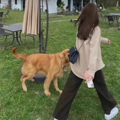 马场艳侣